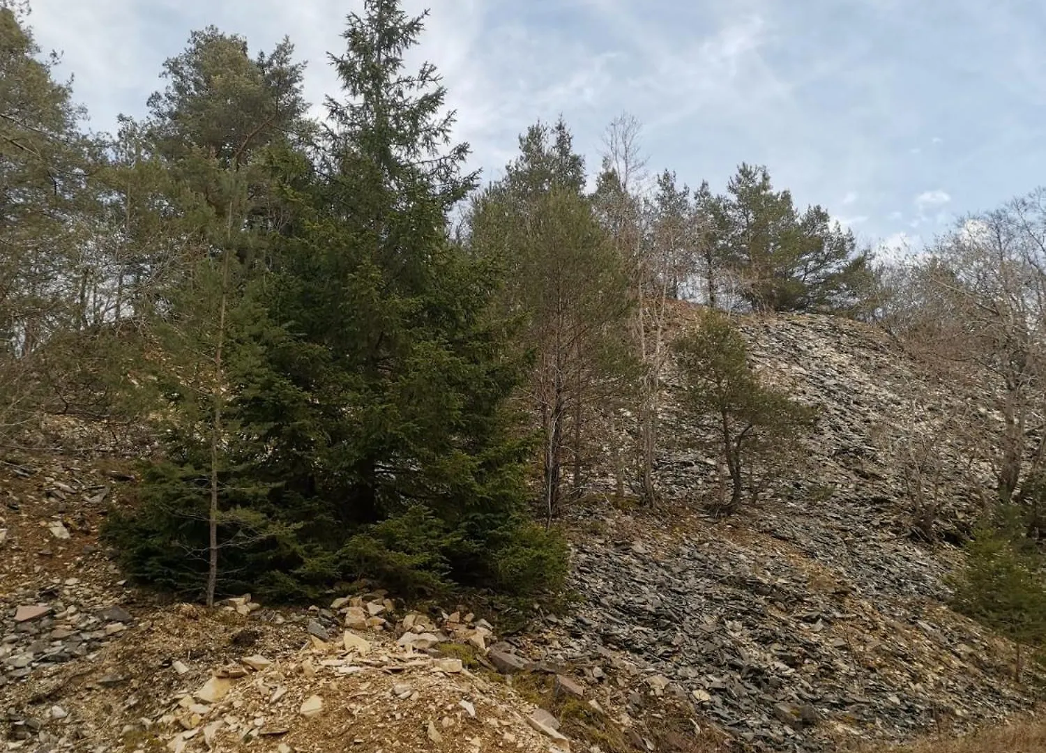 Haus Zum Talblick Lejlighed Solnhofen Tyskland